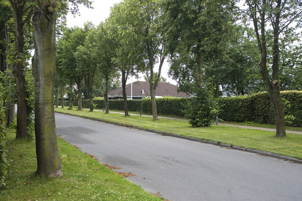 Gadetræer er med til bl.a. at skabe et rart klima og miljø i beboelsesområder som f.eks. Gabelsparken i Bramming.